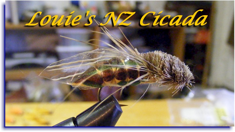 Louie's NZ Cicada Tying Instructions  Dan Blanton » Fly Fishing Resources