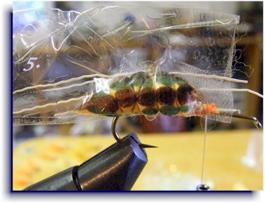 How to tie a foam CICADA pattern  In this episode we learn how to tie a  foam CICADA fly. It's a great fly pattern for summer in New Zealand when the